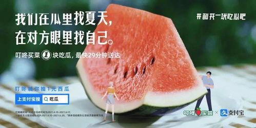 吃瓜找我的文案,探寻幕后真相的趣味之旅