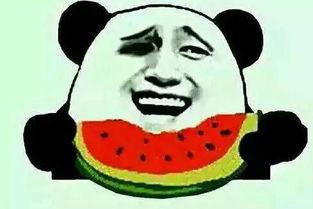 我的吃瓜梦,探寻梦境中的瓜界奇遇