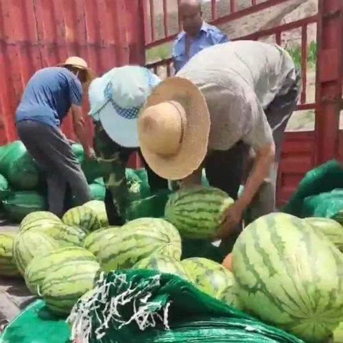 甜蜜吃瓜开始了,揭秘娱乐圈甜蜜背后的故事