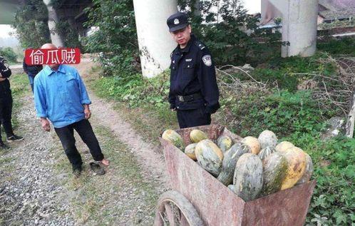 吕梁最新吃瓜事件新闻,揭秘背后真相与争议焦点