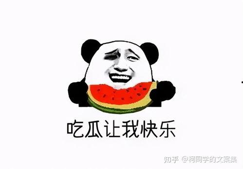 每天都能吃瓜的吃瓜群众,吃瓜群众的快乐生活