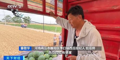 新闻河南吃瓜,揭秘背后真相与网络舆论的力量